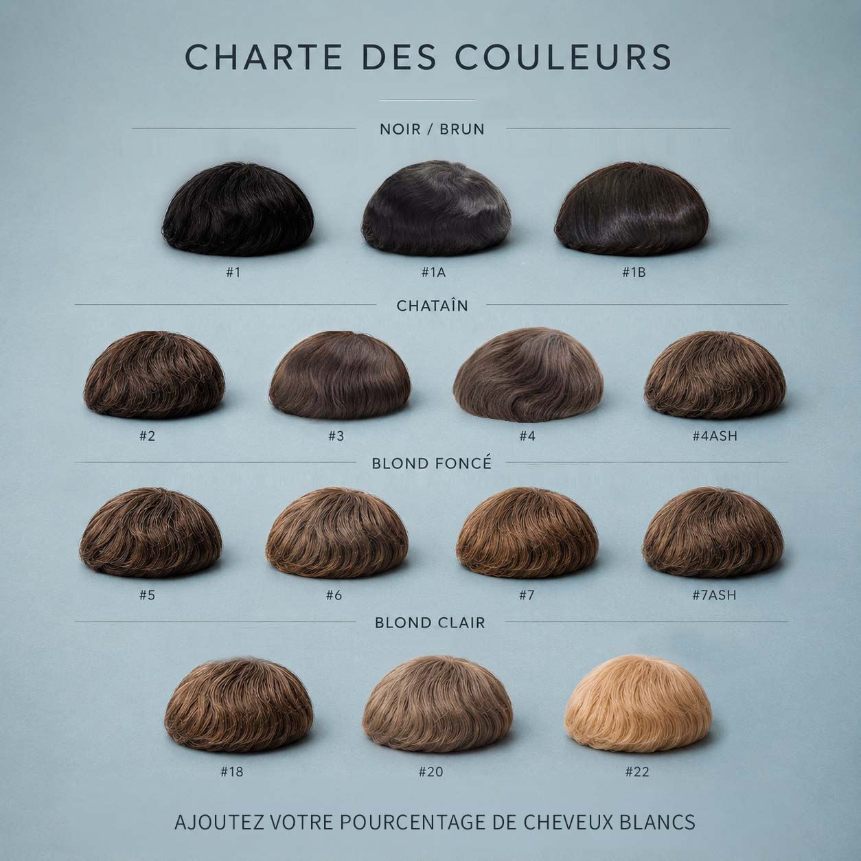 Ali, complément capillaire bouclé ou crépu 13 charte couleur de postiche homme